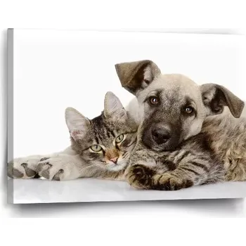 Obraz Sablio Obraz Kočička a štěňátko - 60x40 cm