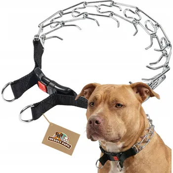 Obojek pro psa OSTNATÝ OBOJEK BEZ ZACISKU pro velkého psa, výcvikový obojek L do 50 cm SAFE