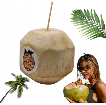 Voda MLADÝ KOKOS z Vietnamu – Přírodní kokosová voda a ČERSTVÁ Dužina 3 KUSY