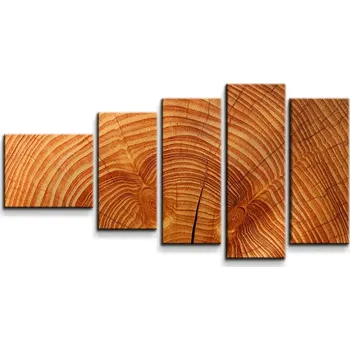 Obraz Sablio Obraz - 5-dílný Dřevo 2 - 100x60 cm