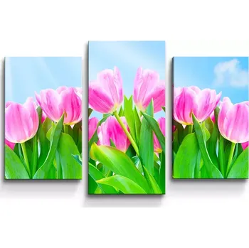 Obraz Sablio Obraz - 3-dílný Růžové tulipány - 75x50 cm