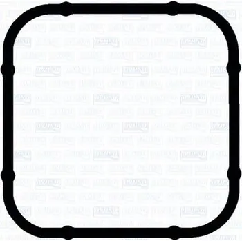 Těsnění motoru Těsnění, koleno sacího potrubí AJUSA 01698200