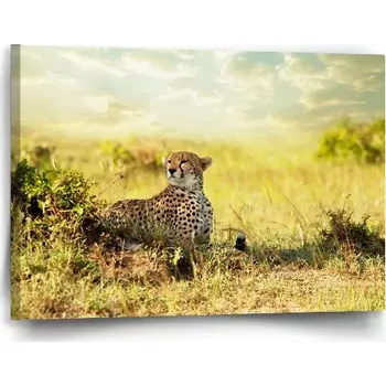Obraz Sablio Obraz Gepard - 60x40 cm