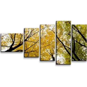 Obraz Sablio Obraz - 5-dílný Koruny stromů - 100x60 cm