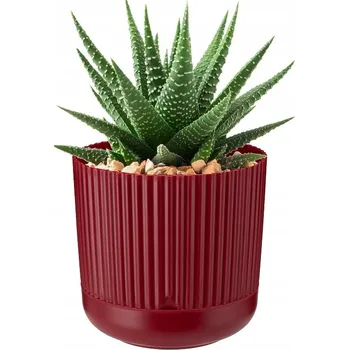 Květináč Květináč 16 cm plast červený