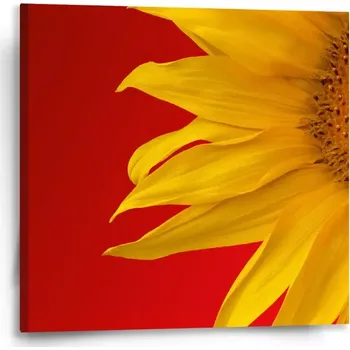 Obraz Sablio Obraz Slunečnice - 50x50 cm