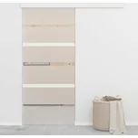 ZBXL Posuvné dveře ESG sklo a hliník 90 x 205 cm stříbrné