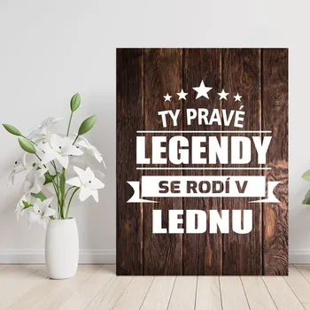 Plechová cedule Sablio Dárková cedulka Ty pravé legendy se rodí v lednu: 30x40 cm