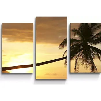 Obraz Sablio Obraz - 3-dílný Palma - 75x50 cm