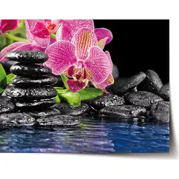 Plakát Sablio Plakát Orchidej na kamenech - 60x40 cm