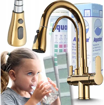 Vodovodní baterie Kuchyňská baterie stojánková Ari Nordic zlatá