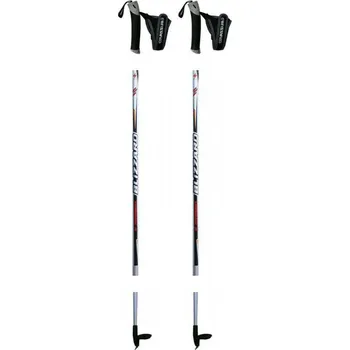 Běžecké lyžování Běžkařské hole BLIZZARD-XC Performance senior cross-country poles, silver Šedá 120 cm