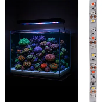 Akvárium Protaśma LEDmarin LED pásek pro mořské akvárium DIY