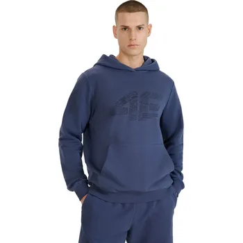 Pánská mikina Pánská mikina s kapucí 4F-SWEATSHIRT M1585-22S-ANTHRACITE Šedá XXL