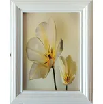 Bondecor Skříňka na klíče 25 x 31 cm…