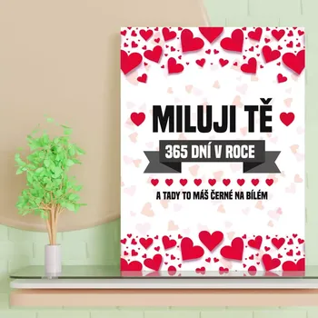 Plechová cedule Sablio Dárková cedulka Miluji Tě 365 dní v roce: 30x40 cm