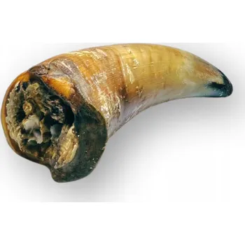 Pamlsek pro psa HOVĚZÍ ROH PRO PSA Za Psí Groš 1 Ks