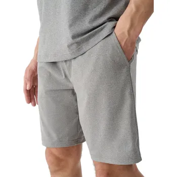 Pánské oblečení Pánské tréninkové kraťasy 4F-SHORTS FNK M0911-25M-GREY MELANGE Šedá S