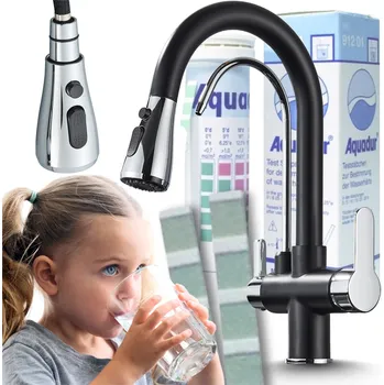 Vodovodní baterie Stojánková kuchyňská baterie Ari Nordic, černá/stříbrná