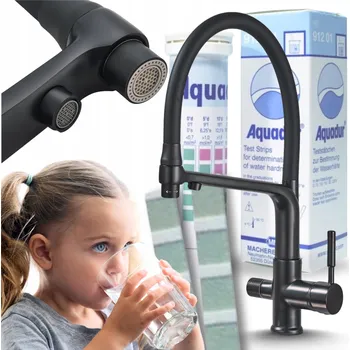 Vodovodní baterie Kuchyňská stojánková baterie Ari Flexible černá