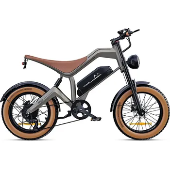 Elektrokolo Elektrokolo DYU M20