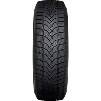 Zimní pneumatika Bridgestone Duravis Van Winter 215/65R16 109 T s přilnavostí na sněhu (3PMSF)