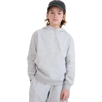 Pánská mikina Chlapecká mikina se zipem 4F JUNIOR-SWEATSHIRT-JWMM00TSWSM1860-25M-GREY Šedá 140
