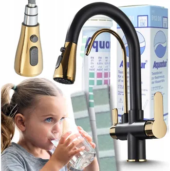 Vodovodní baterie Stojánková kuchyňská baterie Ari Nordic černá