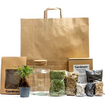 Terárium Gardners Skleněná dóza Helenium Osázej SI Sám Ficus microcarpa Ginseng, S v dárkovém balení Fíkovník drobnoplodý