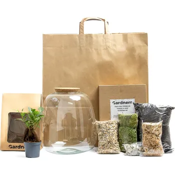 Terárium Gardners Skleněná dóza Molinia Osázej SI Sám Ficus microcarpa Ginseng, L v dárkovém balení Fíkovník drobnoplodý