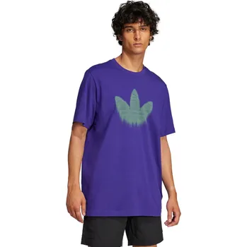 Pánské oblečení Pánské triko s krátkým rukávem ADIDAS ORIGINALS-SKELETON TR TE CPURPL Modrá L