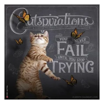Kalendář Catspirations 2026 12 X 12 Wall Calendar (EN)