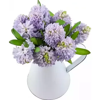 Konev Hyacint konvička