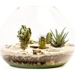 Gardners Skleněná váza Laria, průměr 25 cm - osázené suchomilné