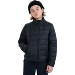 Chlapecká bunda 4F JUNIOR-DOWN JACKET-JWSS25TDJAM520-20S-BLACK Černá 146