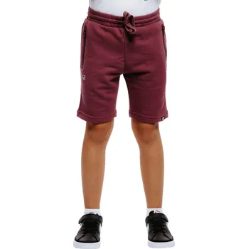 Chlapecké kraťasy Chlapecké kraťasy AUTHORITY-TS-BASIC ZIP B bordo Fialová 128/134