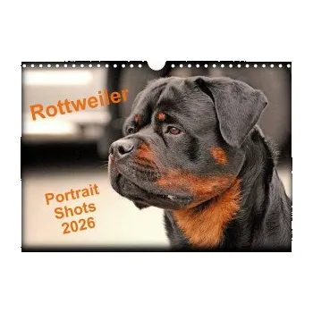 Diář Rottweiler Portait Shots 2026 (Wall Calendar 2026 DIN A4 landscape), CALVENDO 12 Month Wall Calendar: Rottweiler Portrait Head Shots. DE – Calvendo,WT images (EN)