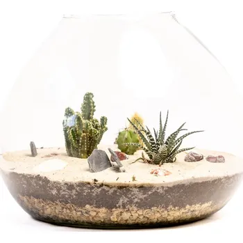 Váza Gardners Skleněná váza Laria, průměr 20 cm - osázené suchomilné