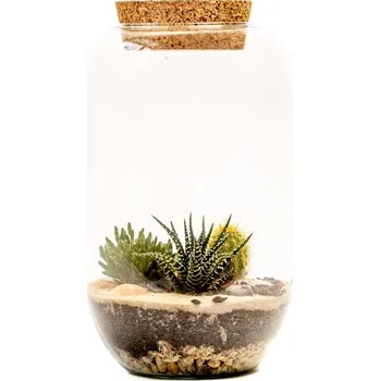 Váza Gardners Skleněná dóza Cornus s korkovým špuntem, 22x15 cm - osázené suchomilné