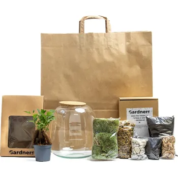 Gardners Skleněná dóza Molinia Osázej SI Sám Ficus microcarpa Ginseng, M v dárkovém balení Fíkovník drobnoplodý