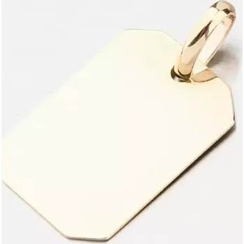 Přívěsek Přívěsek destička - zlato 585 GCA13-006