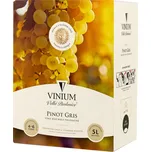 VINIUM Velké Pavlovice Pinot Gris Bag In Box 5 l