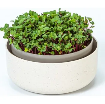 Hnojivo Plastia Microgreens - Základní set