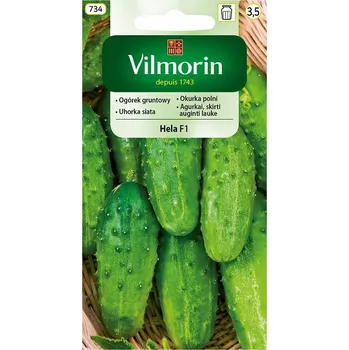 Semeno Okurka polní Hela F1 10/2025