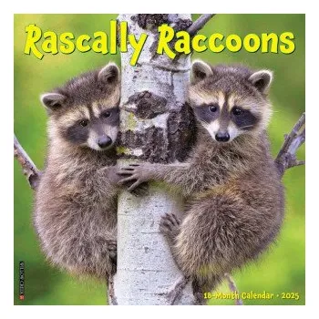 Kalendář Rascally Raccoons 2026 12 X 12 Wall Calendar (Brožovaná)