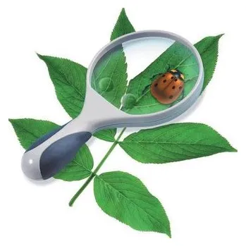 Lupa Edu - Lupa 10cm