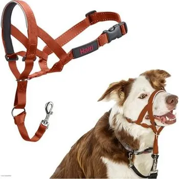 Postroj pro psa Ohlávka nylon Halti oranžová vel. 3 - dalmatin, retrívr COA