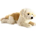 Lamps Zlatý retrívr 55 cm