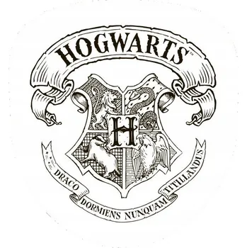 Polštář Polštář 36 x 34 cm Harry Potter