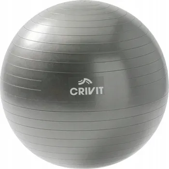 Gymnastický míč CRIVIT Měkký gymnastický míč 75 cm šedý šedá fitness jóga pilates